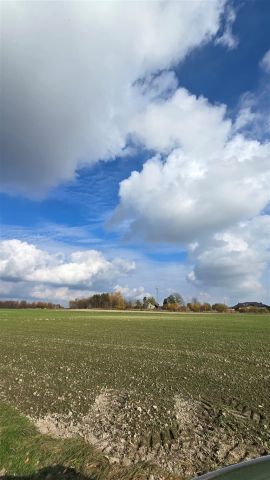 Działka inwestycyjna Ćwiklice. Zdjęcie 3