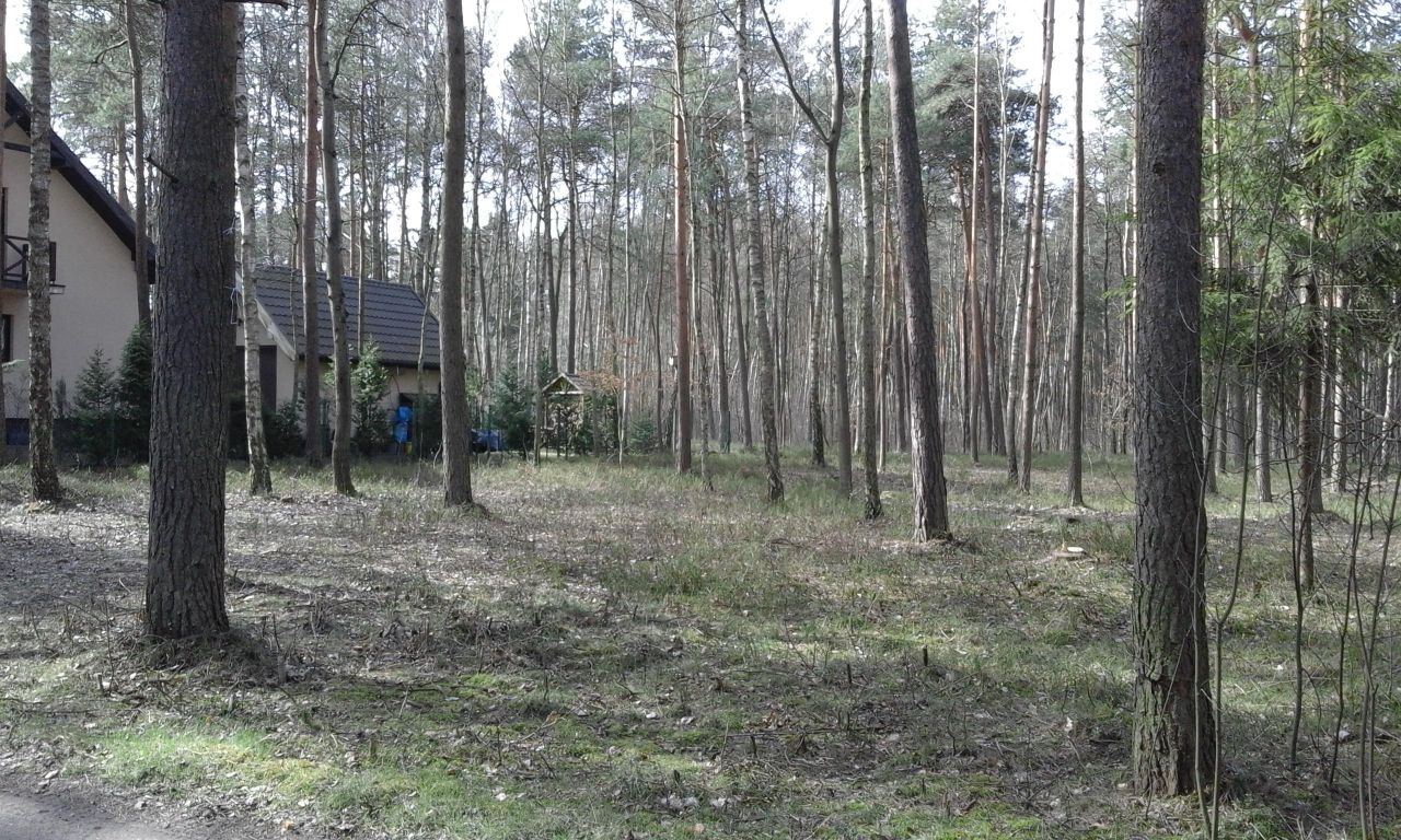 Działka budowlana Żarki-Letnisko, ul. Okrężna. Zdjęcie 5