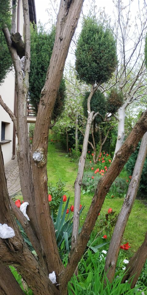 dom wolnostojący, 6 pokoi Łódź Górna, ul. Obywatelska. Zdjęcie 16