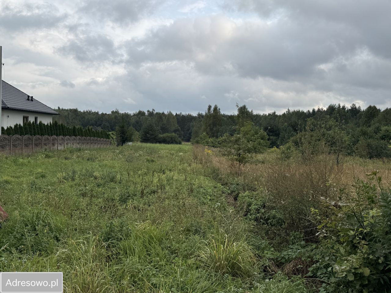 Działka rolno-budowlana Rogowice. Zdjęcie 10