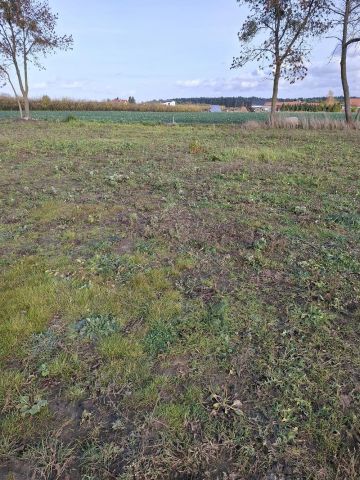 Działka rolno-budowlana Mochle. Zdjęcie 4