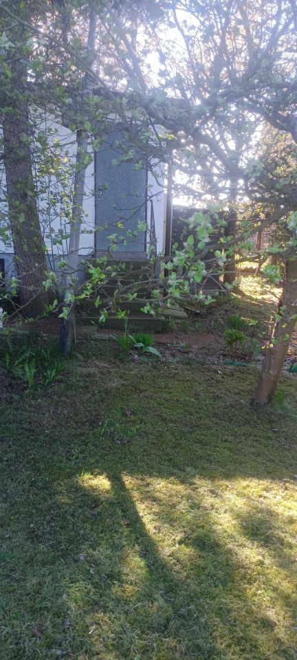 Działka rod Jastrzębie-Zdrój. Zdjęcie 7