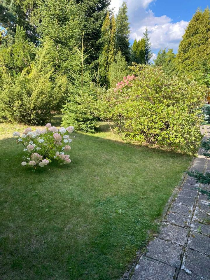 Działka rod Szczaki. Zdjęcie 8