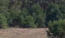 Działka rolna Silna. Zdjęcie 2