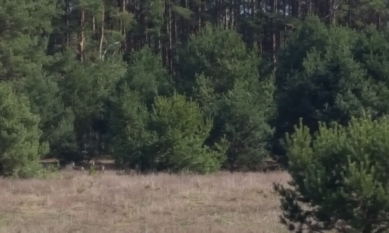 Działka rolna Silna. Zdjęcie 3