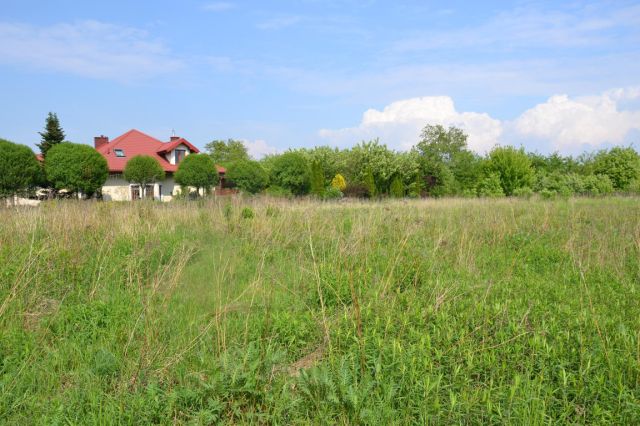 Działka budowlana Bieniewice. Zdjęcie 1