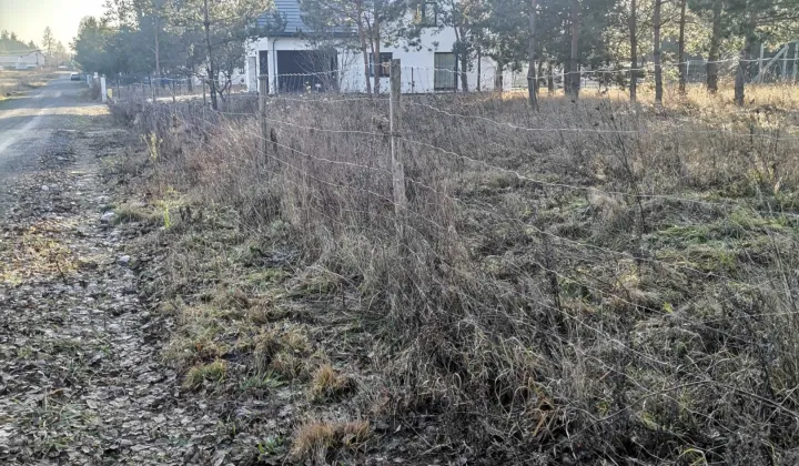 Działka budowlana Wola Paprotnia, ul. Jagodowa