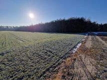 Działka leśna Goździków. Zdjęcie 2