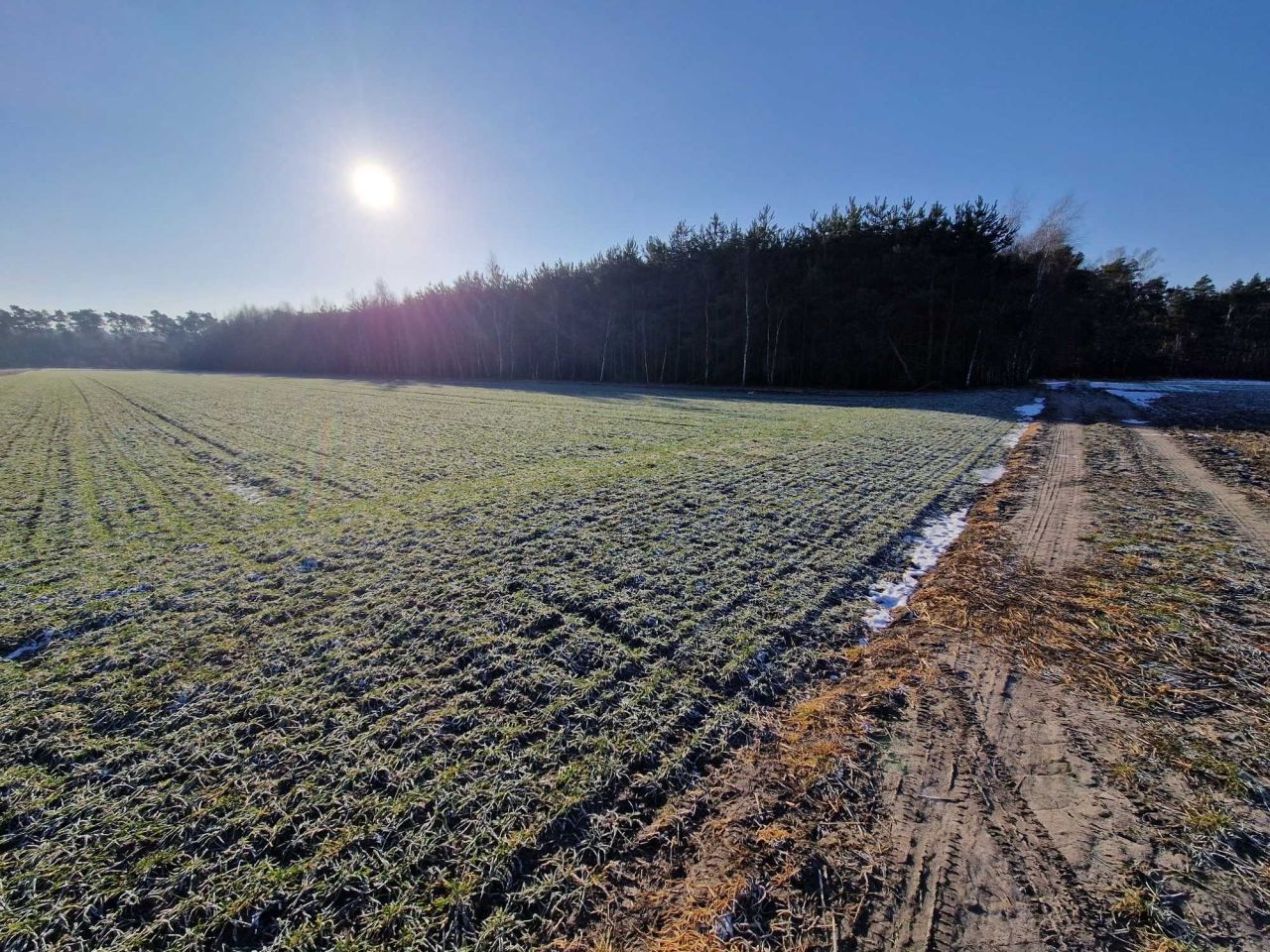 Działka leśna Goździków. Zdjęcie 3