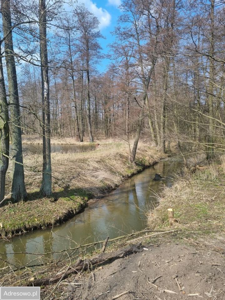 Działka budowlana Tomaszówka. Zdjęcie 4