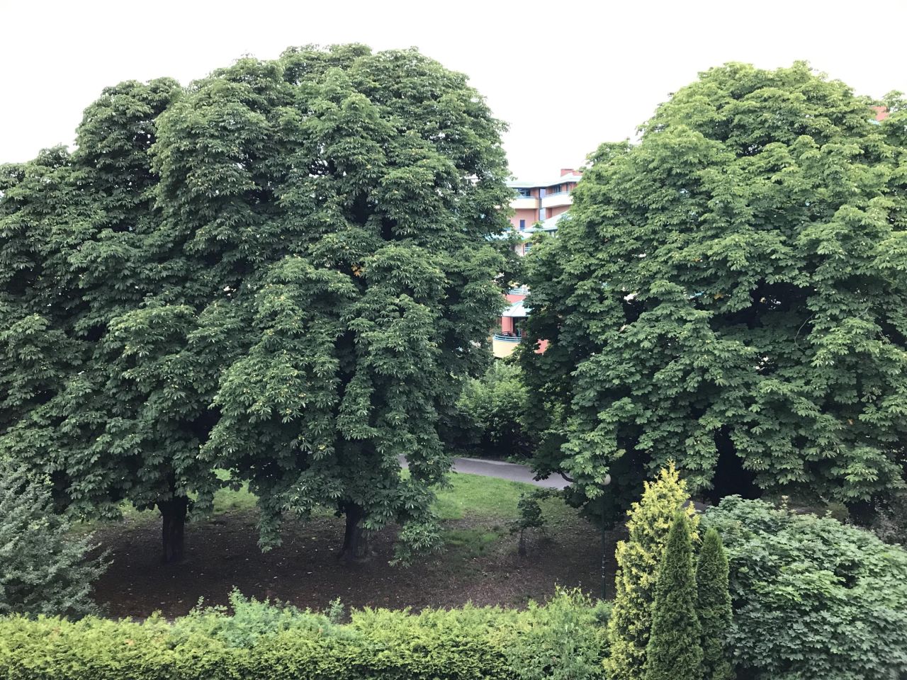 Mieszkanie 2-pokojowe Warszawa Ursynów, ul. Villardczyków. Zdjęcie 5