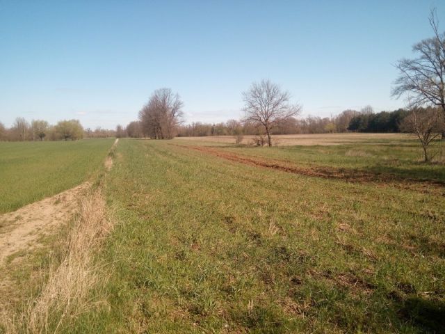 Działka rolno-budowlana Przęsławice. Zdjęcie 1