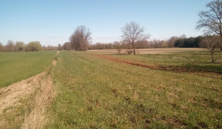 Działka rolno-budowlana Przęsławice