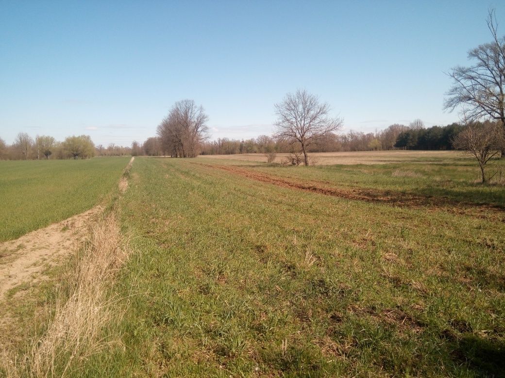 Działka rolno-budowlana Przęsławice