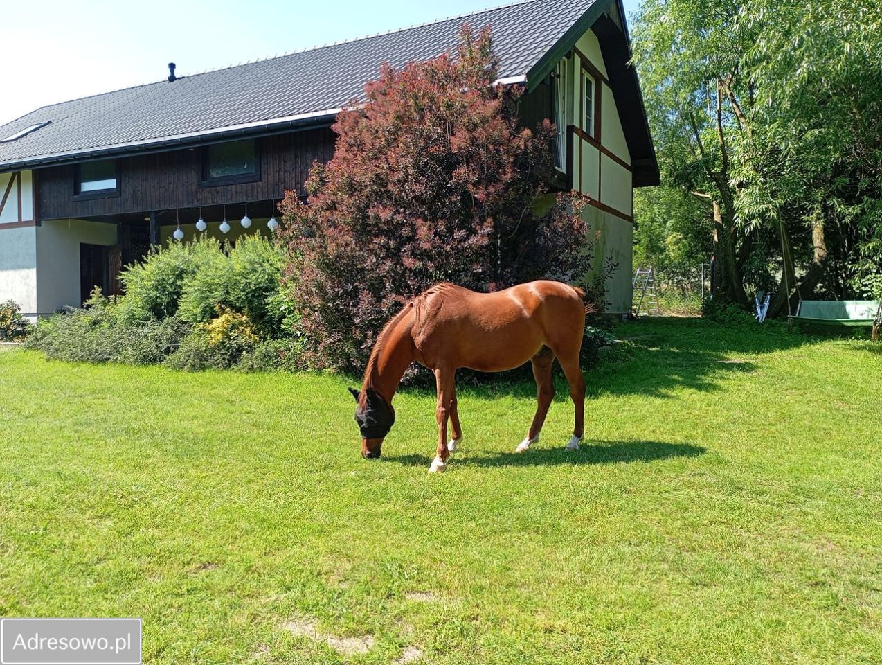 dom wolnostojący, 5 pokoi Stoczek. Zdjęcie 13