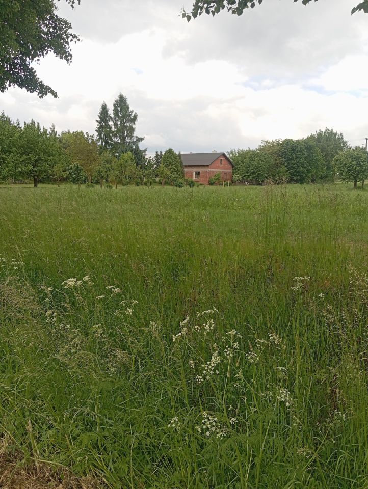 gospodarstwo Krzucz. Zdjęcie 16
