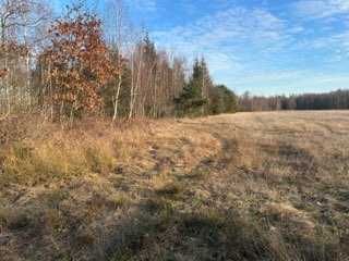 Działka rolno-budowlana Parzniewiczki. Zdjęcie 2