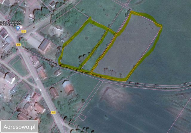 Działka rolna Stary Dzierzgoń. Zdjęcie 1