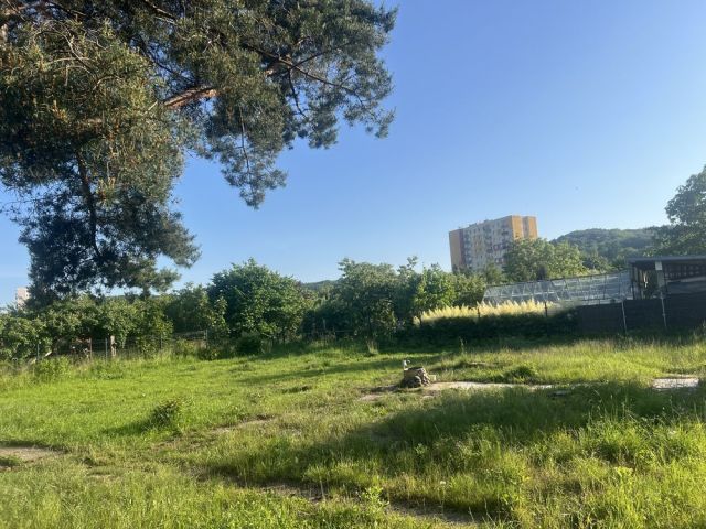 Działka rod Gdańsk Oliwa, ul. Krasnoludków. Zdjęcie 1
