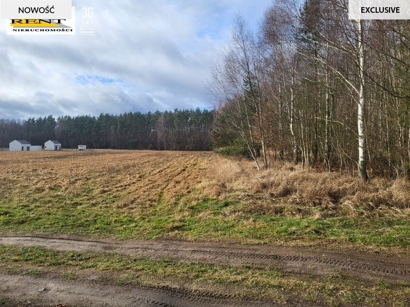 Działka rekreacyjna Chłopowo. Zdjęcie 3