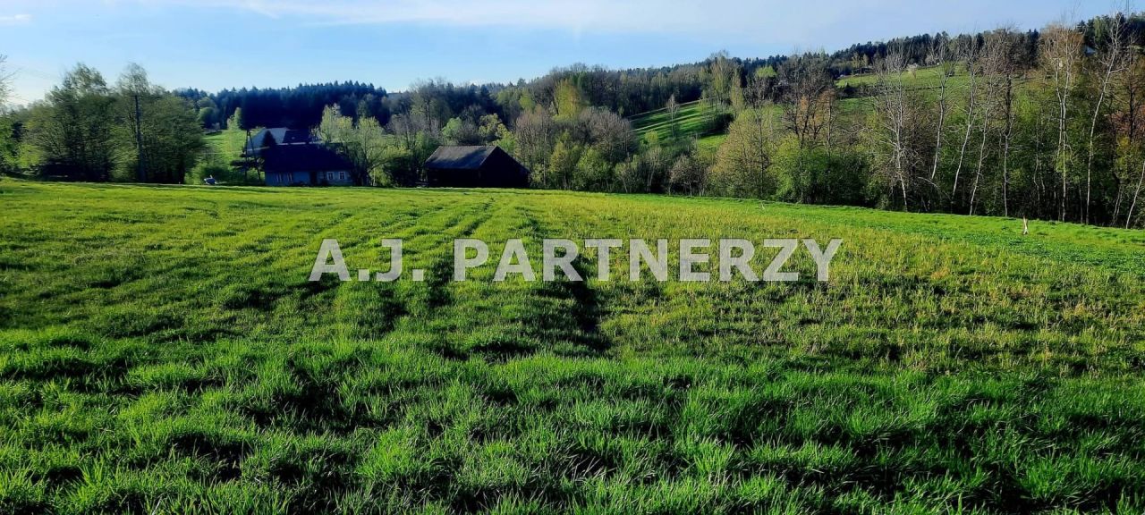 Działka Grabie. Zdjęcie 1