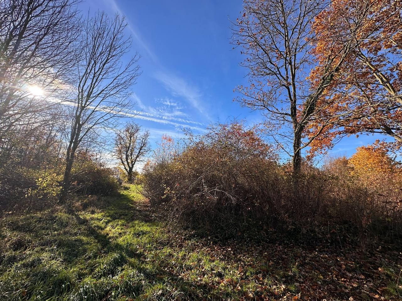 Działka budowlana Chełmica. Zdjęcie 12