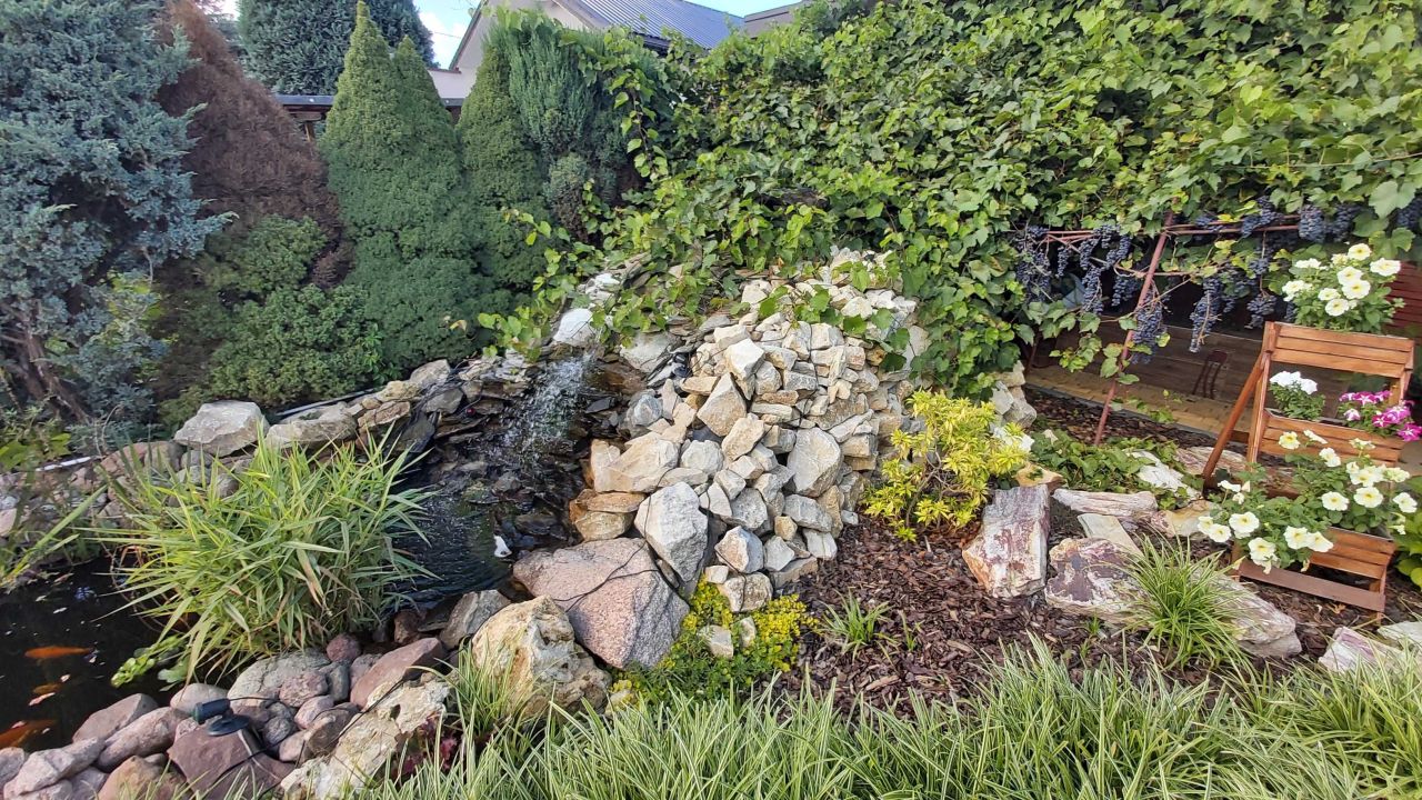 Działka rod Czeladź Kolonia Małobądz, ul. Szpitalna. Zdjęcie 3