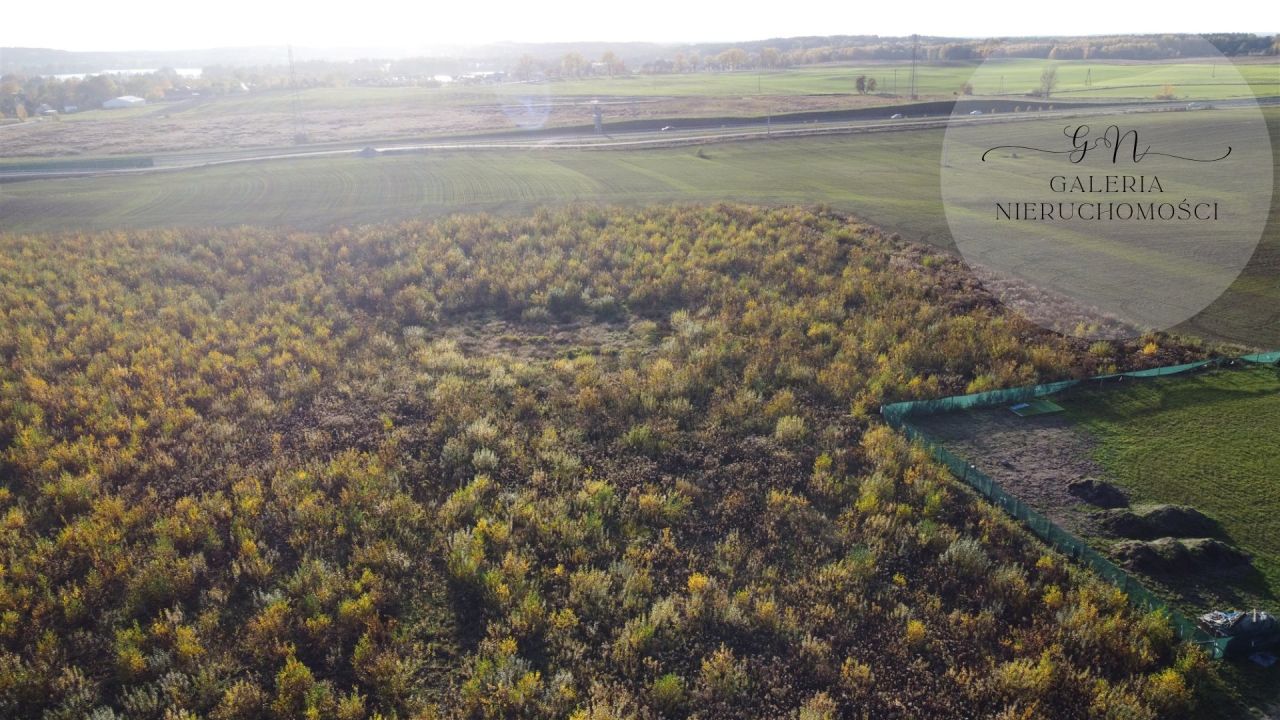 Działka Tomaszkowo. Zdjęcie 4