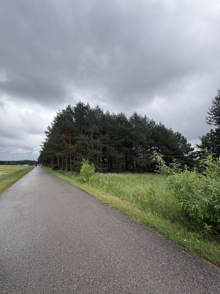 Działka rolno-budowlana Zajączków. Zdjęcie 3