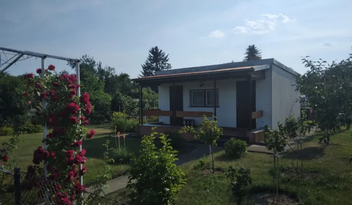 Działka rod Droszków, ul. Brzoskwiniowa