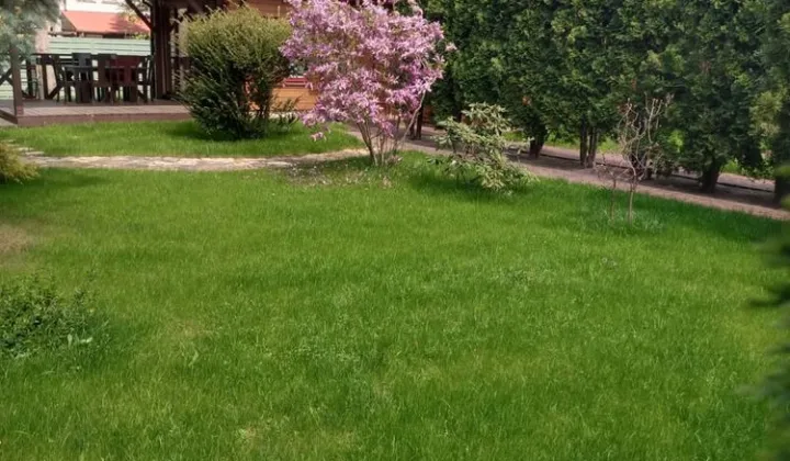 Działka rod Krępa