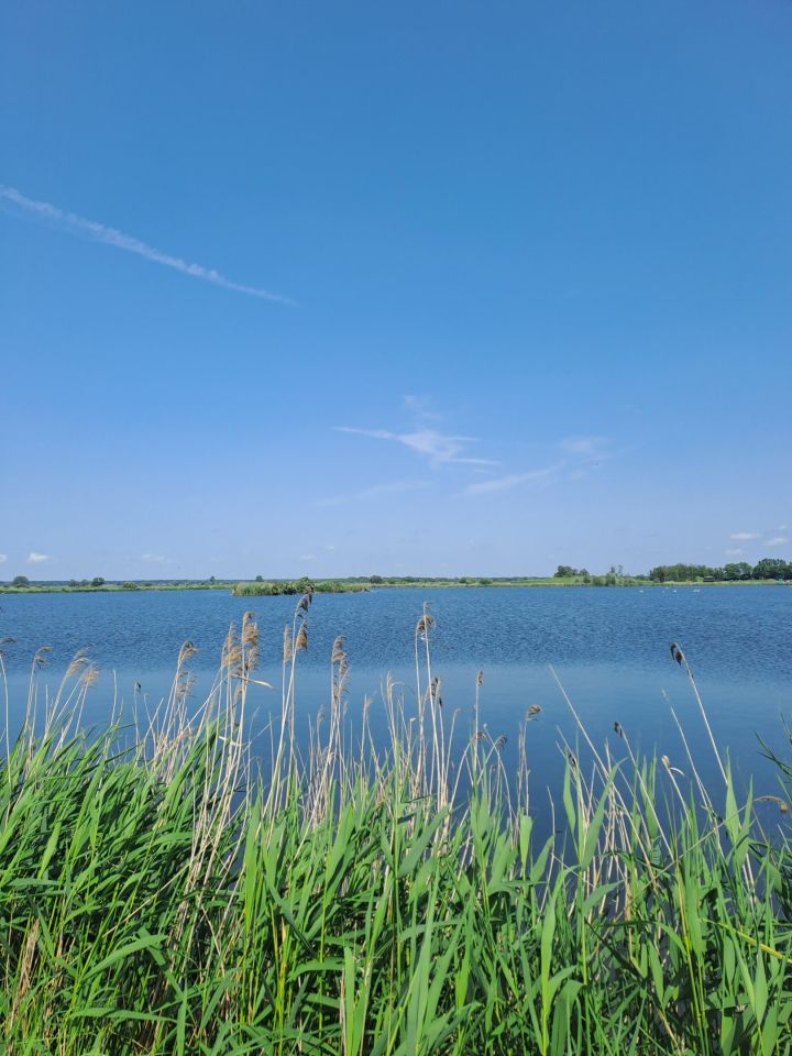 Działka budowlana Strożyska Przymiarki. Zdjęcie 2