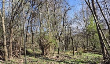 Działka rolno-budowlana Grabówki