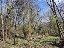 Działka rolno-budowlana Grabówki. Zdjęcie 1