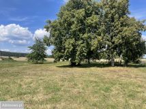 Działka budowlana Chełmsko. Zdjęcie 3