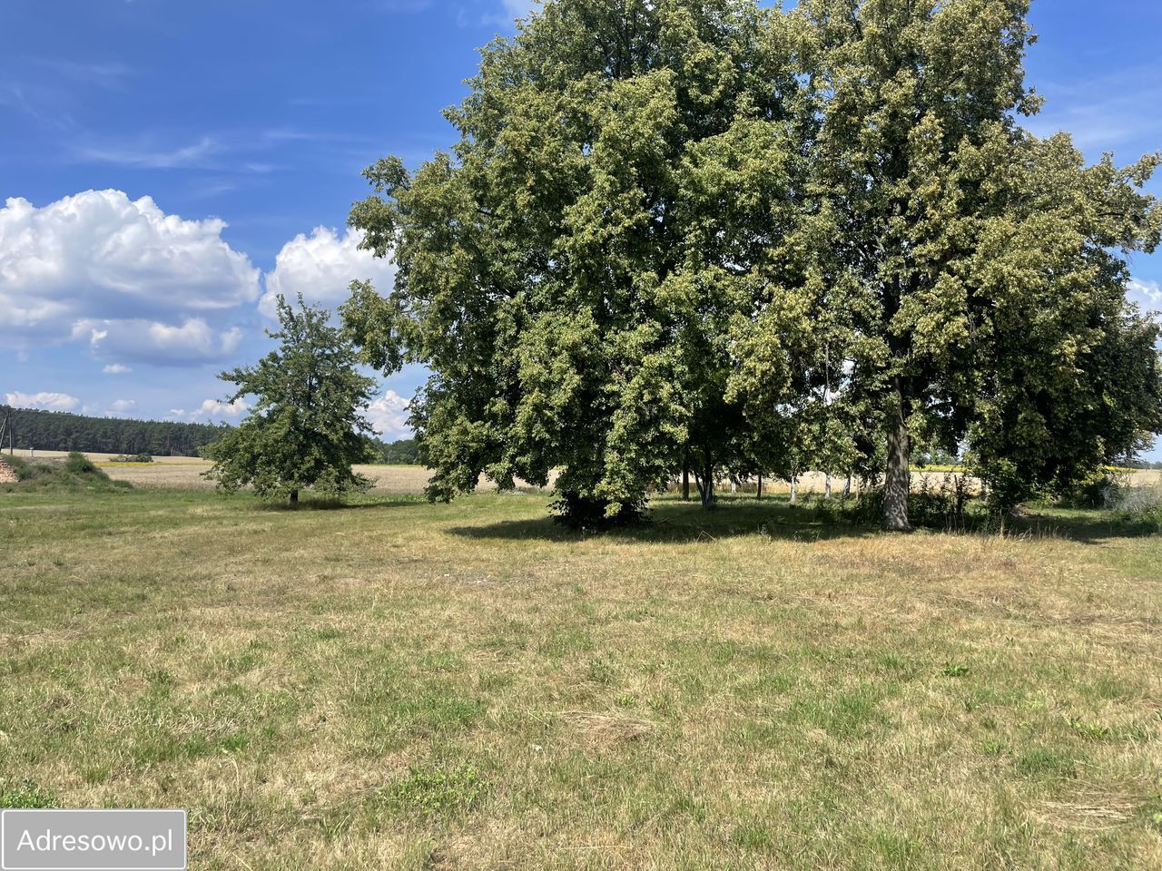 Działka budowlana Chełmsko. Zdjęcie 4