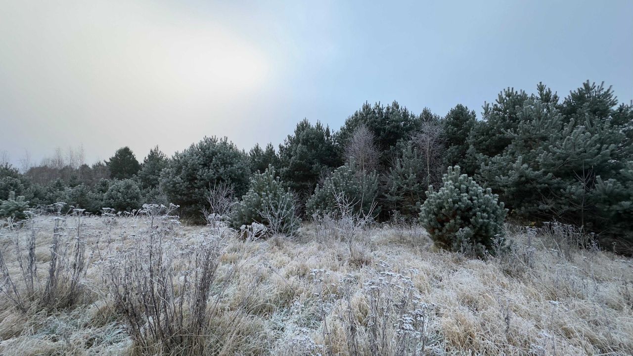 Działka rolna Steklno. Zdjęcie 2
