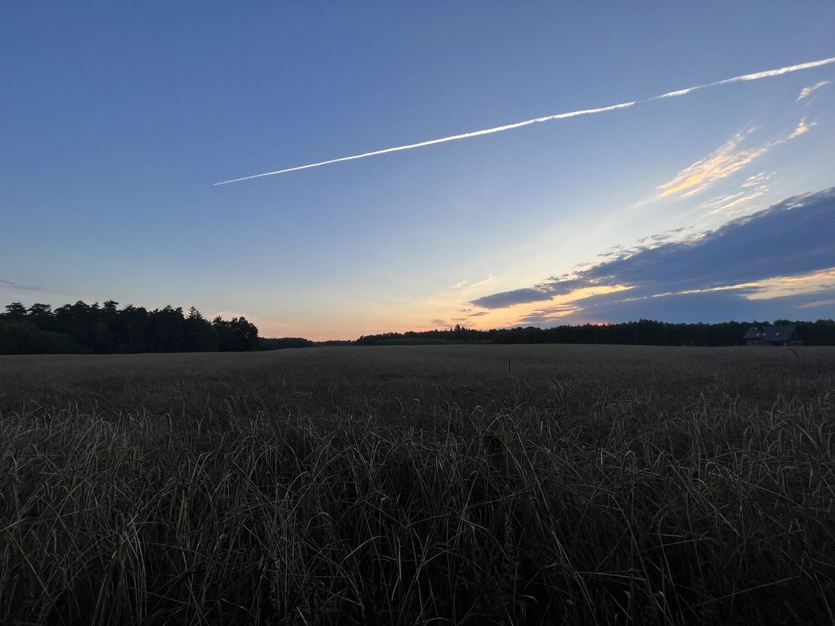 Działka budowlana Pławno. Zdjęcie 17