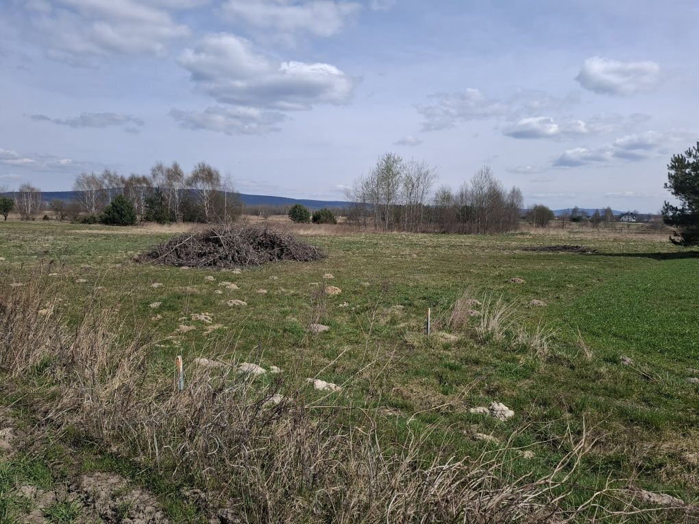 Działka budowlana Górno, ul. Łysogórska. Zdjęcie 7