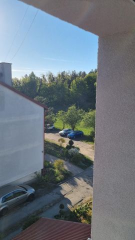 Nieruchomość komercyjna Przęsin. Zdjęcie 12