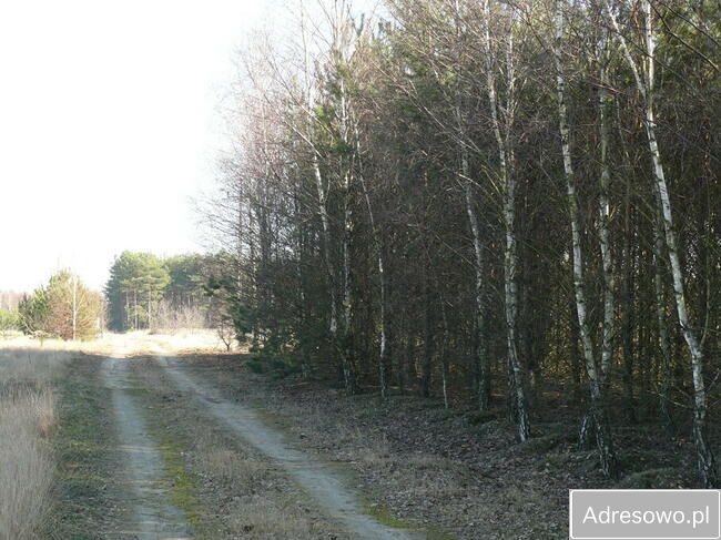 Działka siedliskowa Lubaty. Zdjęcie 8