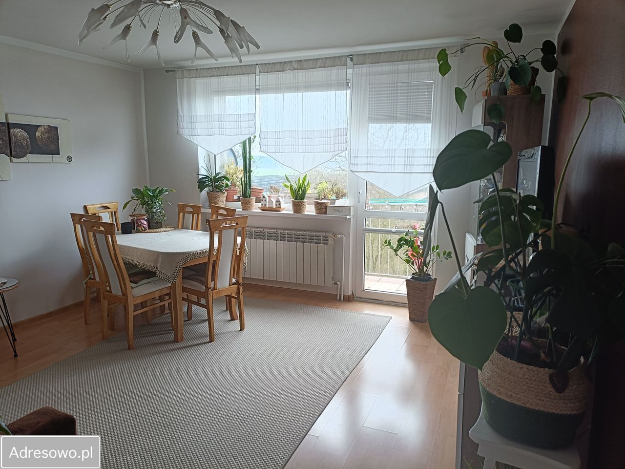 Mieszkanie 3-pokojowe Turowo, ul. Osiedlowa. Zdjęcie 2