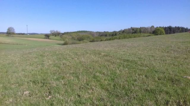 Działka budowlana Przyrowo. Zdjęcie 1