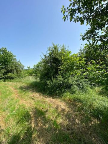 Działka budowlana Kielce, ul. Kalinowa. Zdjęcie 1