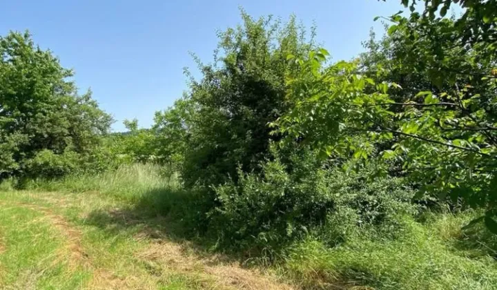 Działka budowlana Kielce, ul. Kalinowa