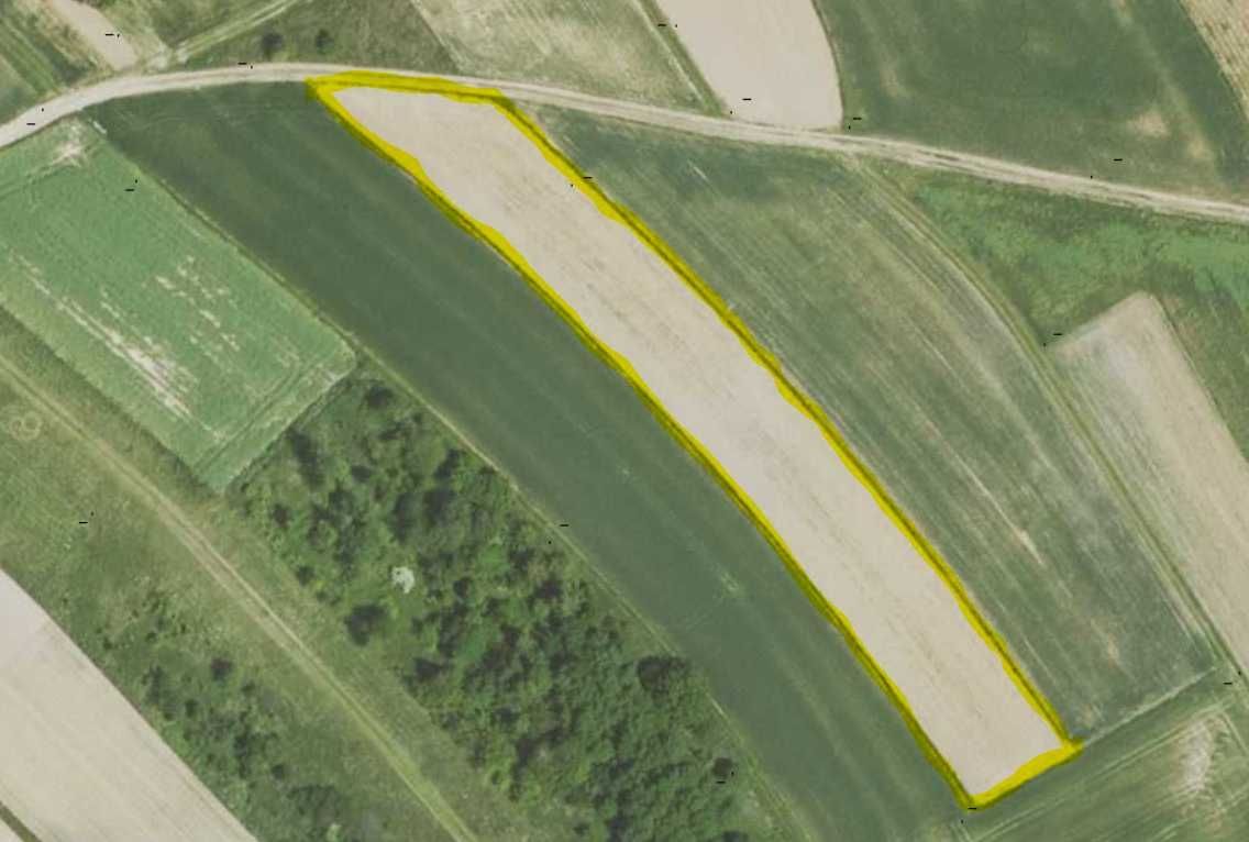 Działka rolna Niechobrz. Zdjęcie 4