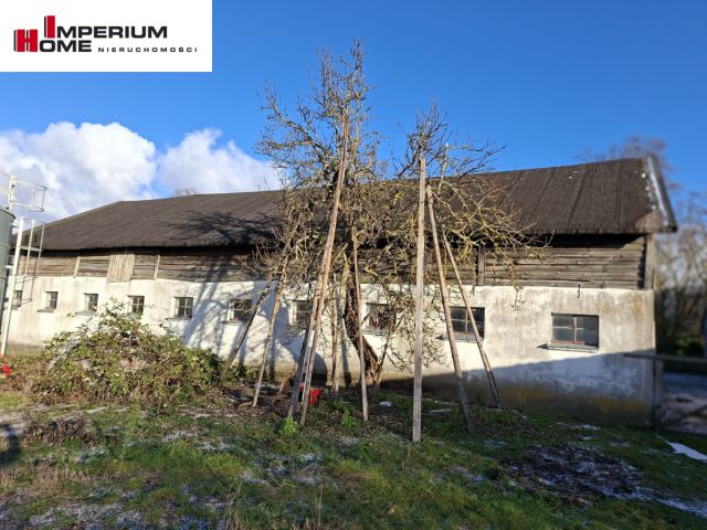 Działka rolna Janiewice. Zdjęcie 2