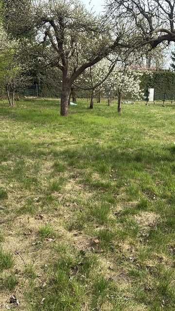 Działka rod Ostrów Wielkopolski, ul. Wrocławska. Zdjęcie 2