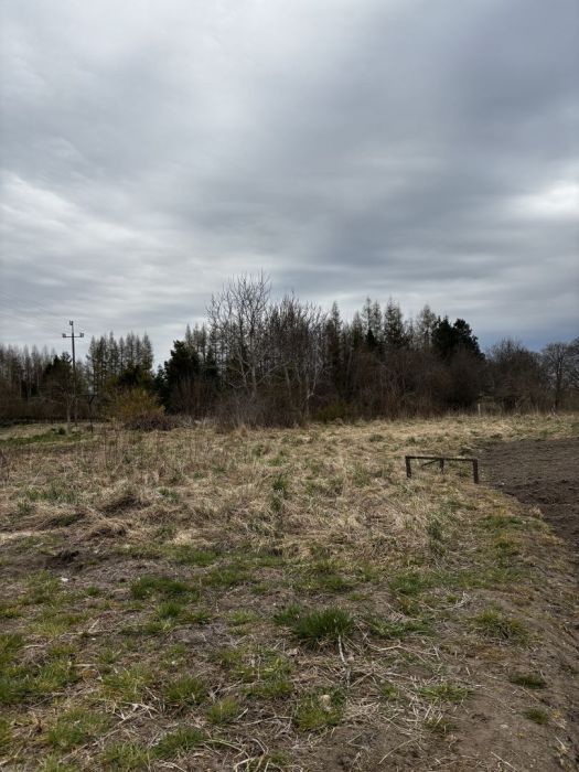 Działka siedliskowa Zdrzewno. Zdjęcie 6