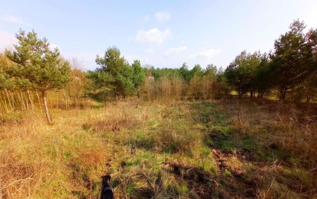 Działka budowlana Poznań Morasko, ul. Morenowa. Zdjęcie 1